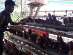 Kenaikan Harga Telur Meresahkan Pedagang di Parimo