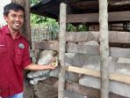 Guna Mendapatkan Pelayanan, Sapi Harus Memiliki Identitas