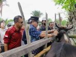Pemda Parimo Launching Vaksinasi PMK Dosis Pertama