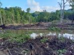 Akibat Pembukaan Lahan Tambak, 11 KK di Desa Toboli Krisis Air Bersih
