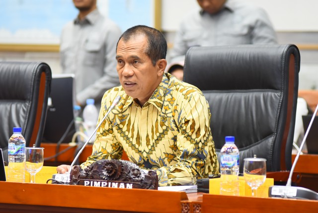 Komisi I Dorong Pemerintah Galang Dukungan Serukan Resolusi PBB Untuk Palestina