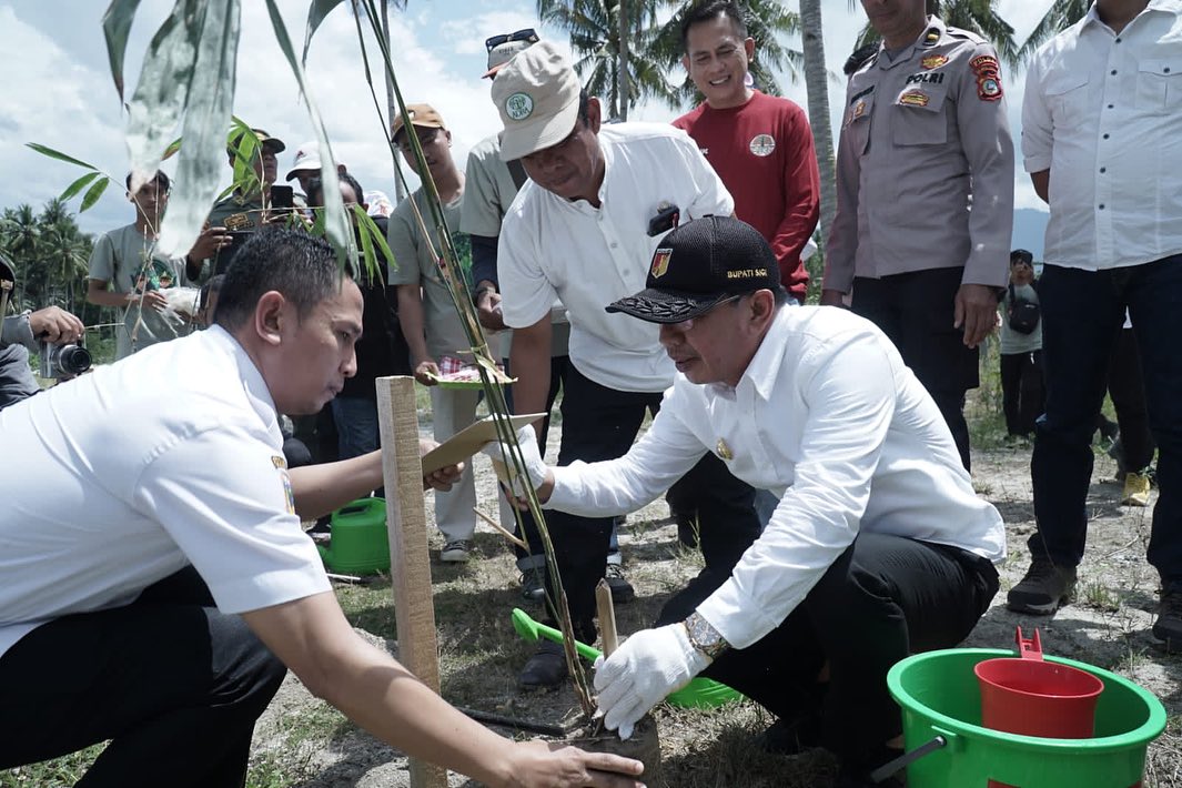 Bupati Sigi Buka Kegiatan Jambore Penanaman 1000 Bambu di Bantaran Sungai