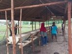DISPKH Parimo Rencana Usulkan Pembangunan Rumah Pakan Silase di Desa Sakina Jaya