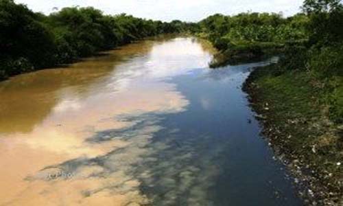 Bahaya Pencemaran Logam Berat di Sungai dan Laut