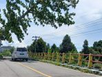 Pohon di Jalan Trans Sulawesi Balinggi Ancam Pengendara dan Warga Sekitar