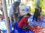 Jelang HBKN, DisPKH Lakukan Pemeriksaan Ante Mortem Pada Hewan Kurban