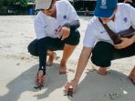 Jaga Ekosistem Bawah Laut, AirNav Indonesia Lepas 1.200 Tukik