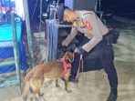 Polda Sulteng Kerahkan ‘Luis’ Si Anjing Pelacak di Pengamanan Kampanye Pilgub