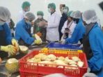 Panduan Sukses Petani Durian: Tips Memilih Packing House dan Rekomendasi Terbaik di Parimo
