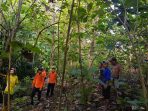 Tim SAR Gabungan Cari Lansia yang Hilang di Banggai