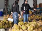 KADIN Parimo Dorong Pemprov Sulteng Segera Susun Regulasi Sektor Durian