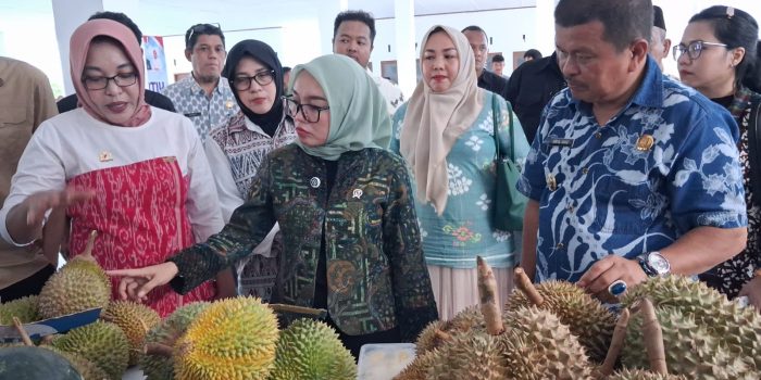 Ketua Kadin Parimo Paparkan Kekuatan Sektor Durian di Hadapan Wamenkop UKM