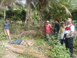 Warga Dusun II Avolua Dikejutkan Temuan Mayat Pelajar di Area Perkebunan